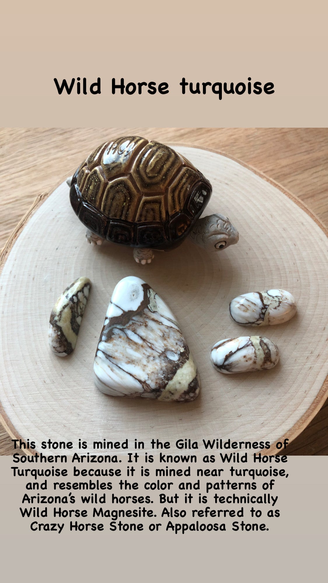 Wild Horse magnesite, White Buffalo turquoise Sterling Silver necklaces