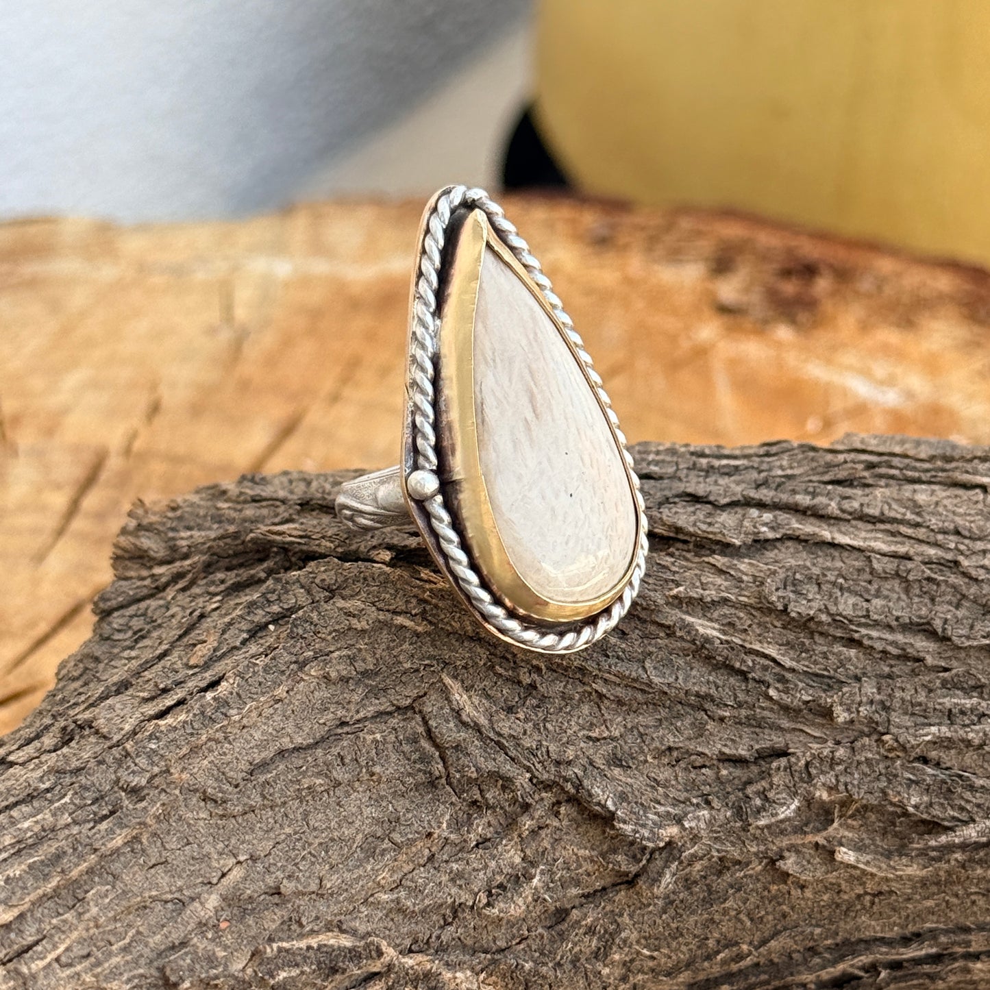 Petrified Palm root Sterling Silver & Gold Ring Size 7 1/2
