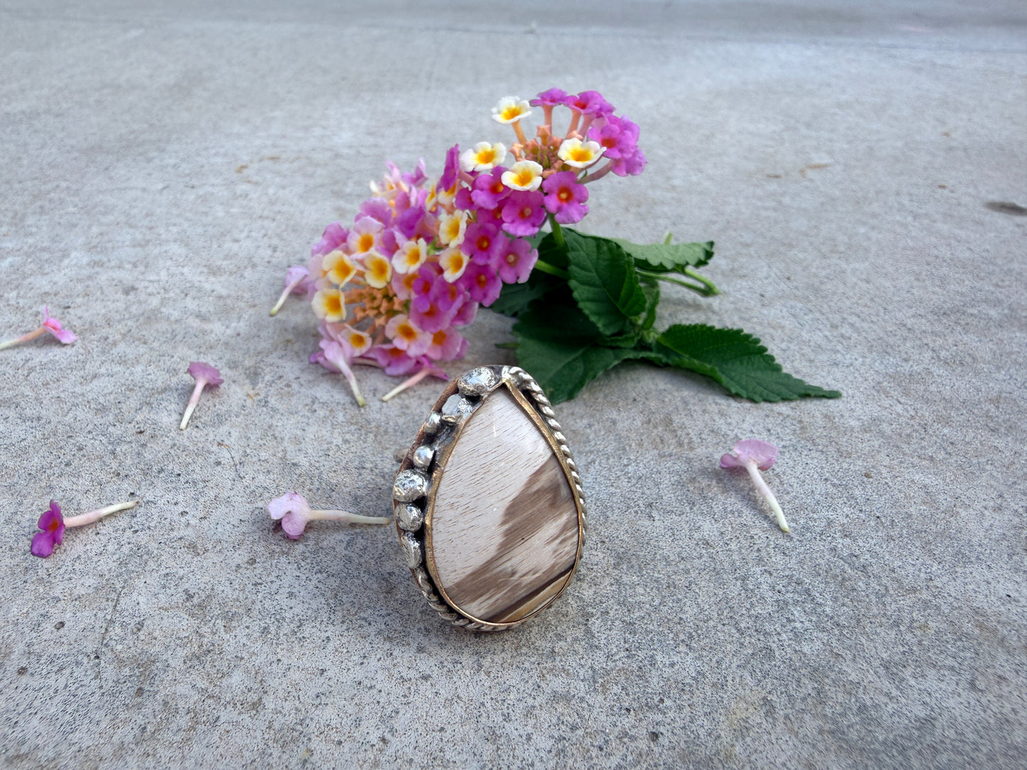 Smokey Petrified Wood Sterling Silver & Gold Ring Size 9