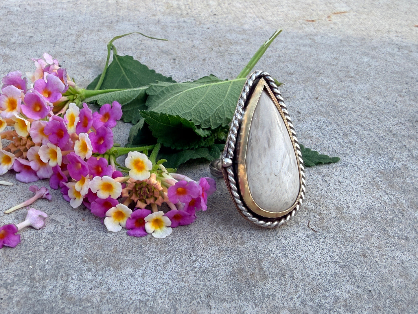 Petrified Palm root Sterling Silver & Gold Ring Size 7 1/2
