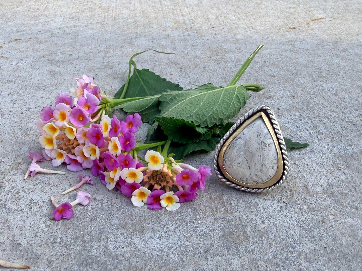 Petrified Palm root Sterling Silver & Gold Ring Size 7