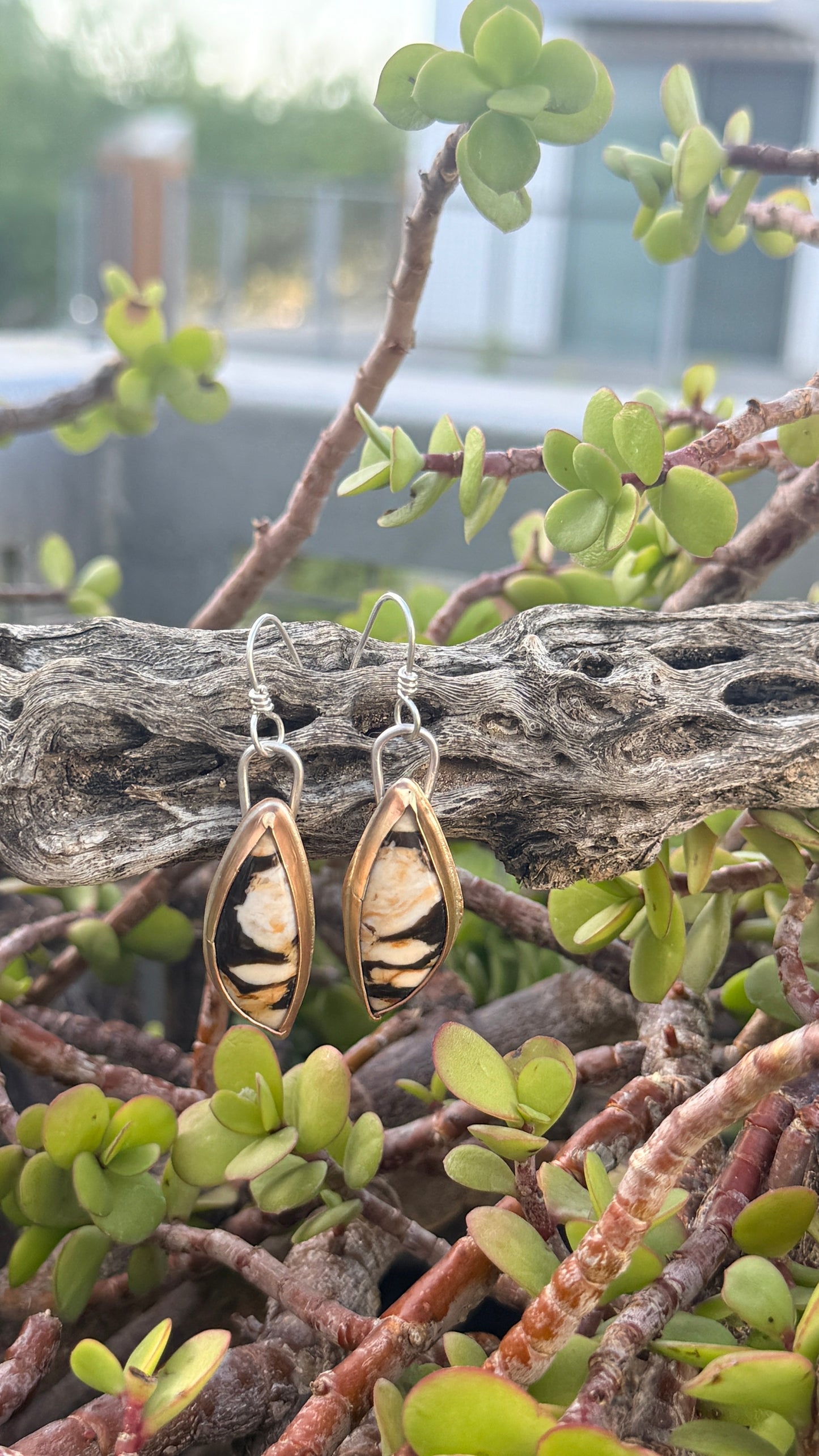 Fossil Peanut Wood mixed metal dangle earrings