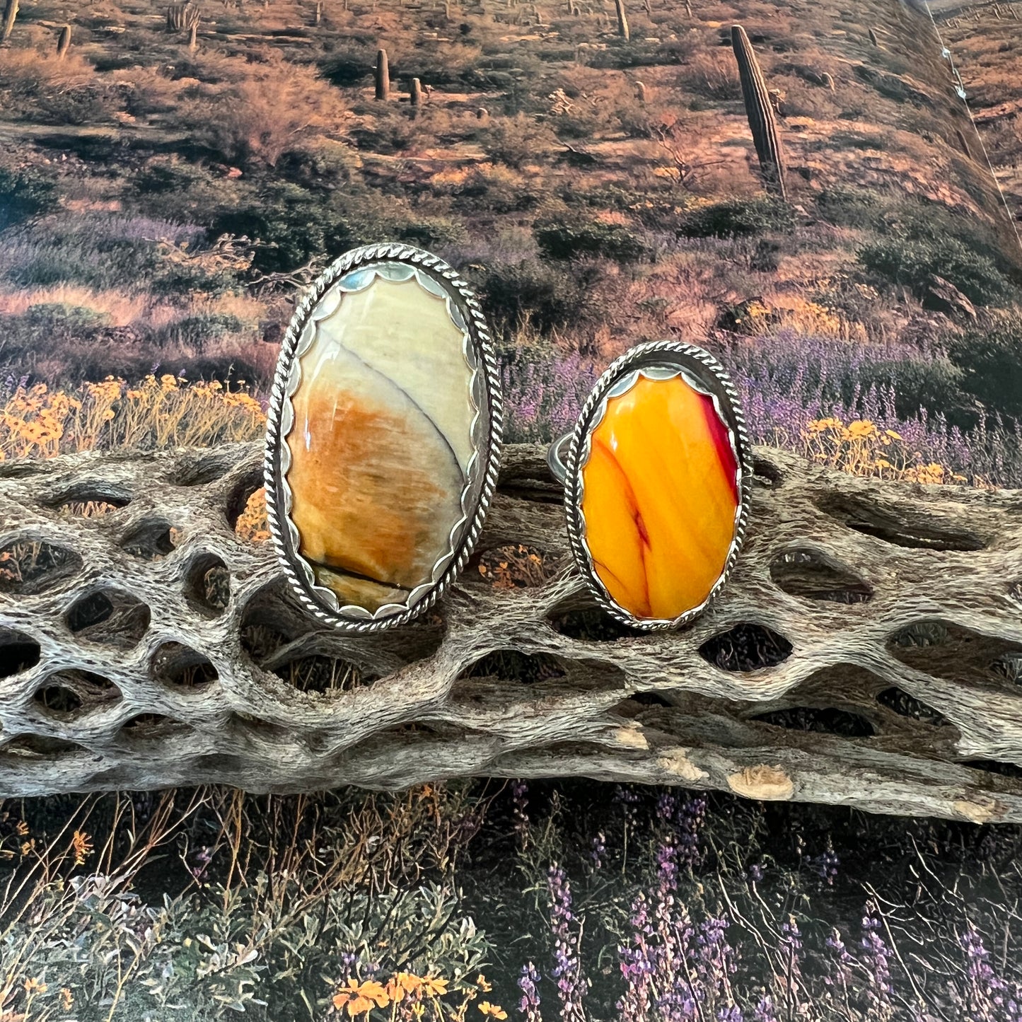 Gabbs Opalized Wood & Yellow Rosarita Rings: Sterling Silver