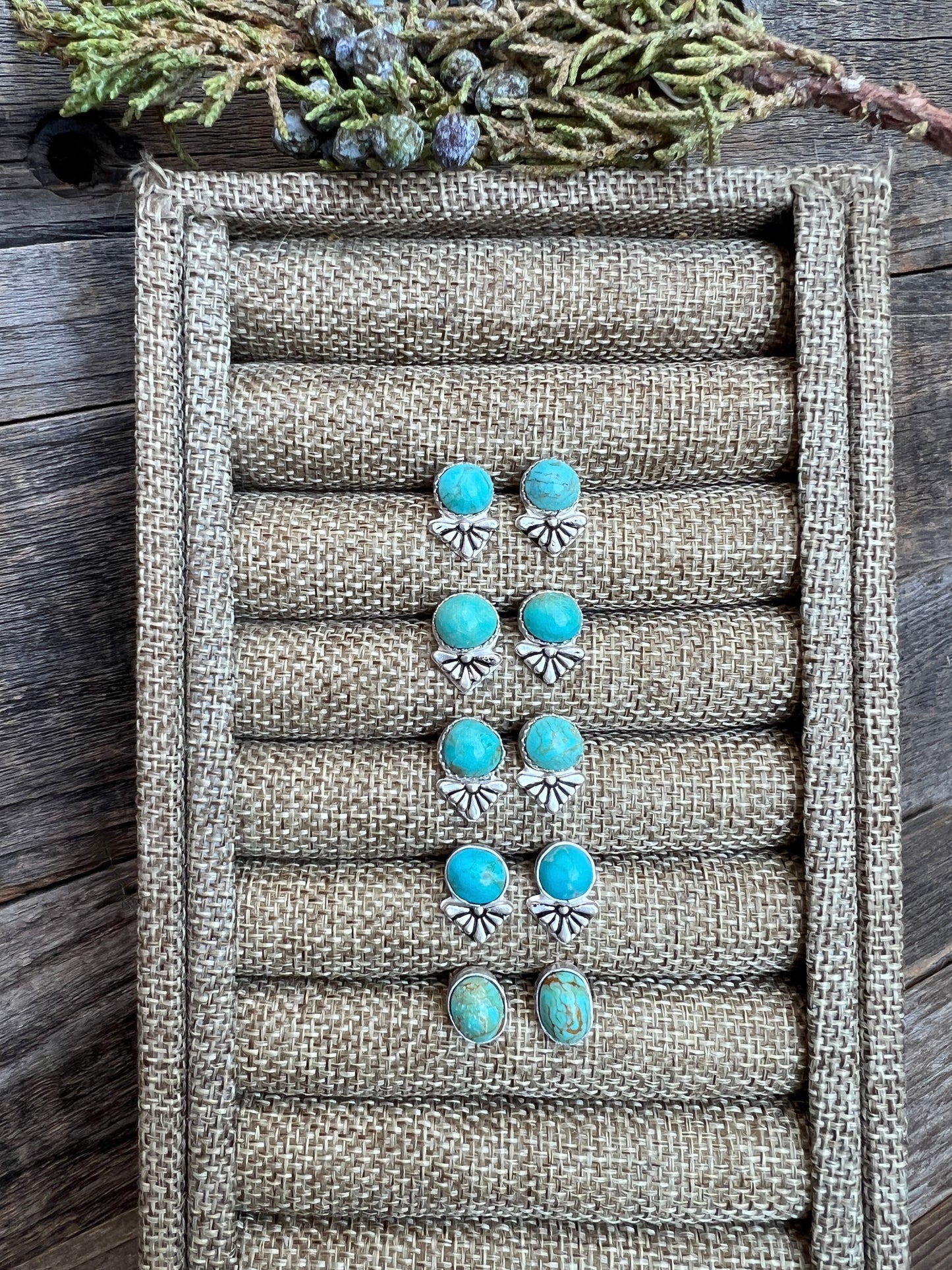 Adorable Kingman Turquoise Sterling Silver Stud Earrings