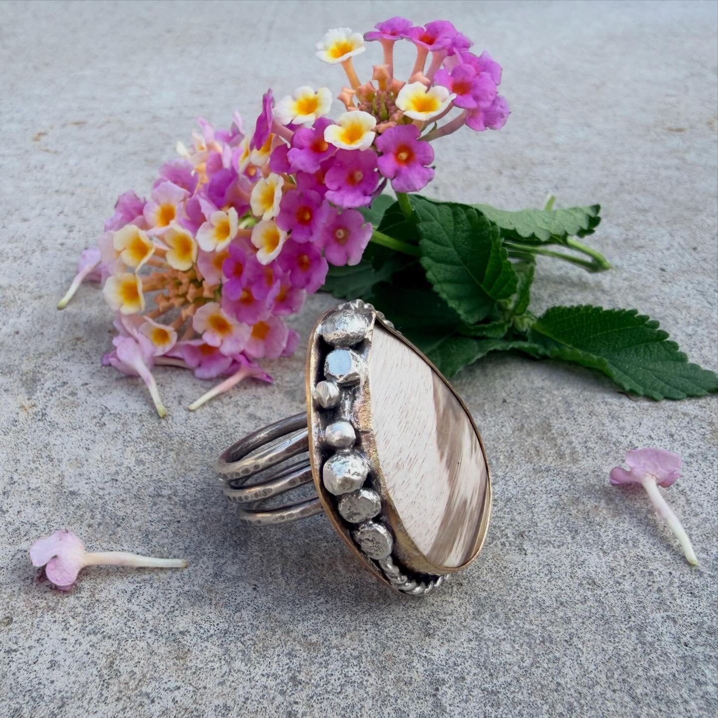Smokey Petrified Wood Sterling Silver & Gold Ring Size 9