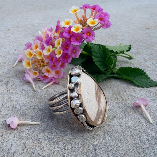 Smokey Petrified Wood Sterling Silver & Gold Ring Size 9