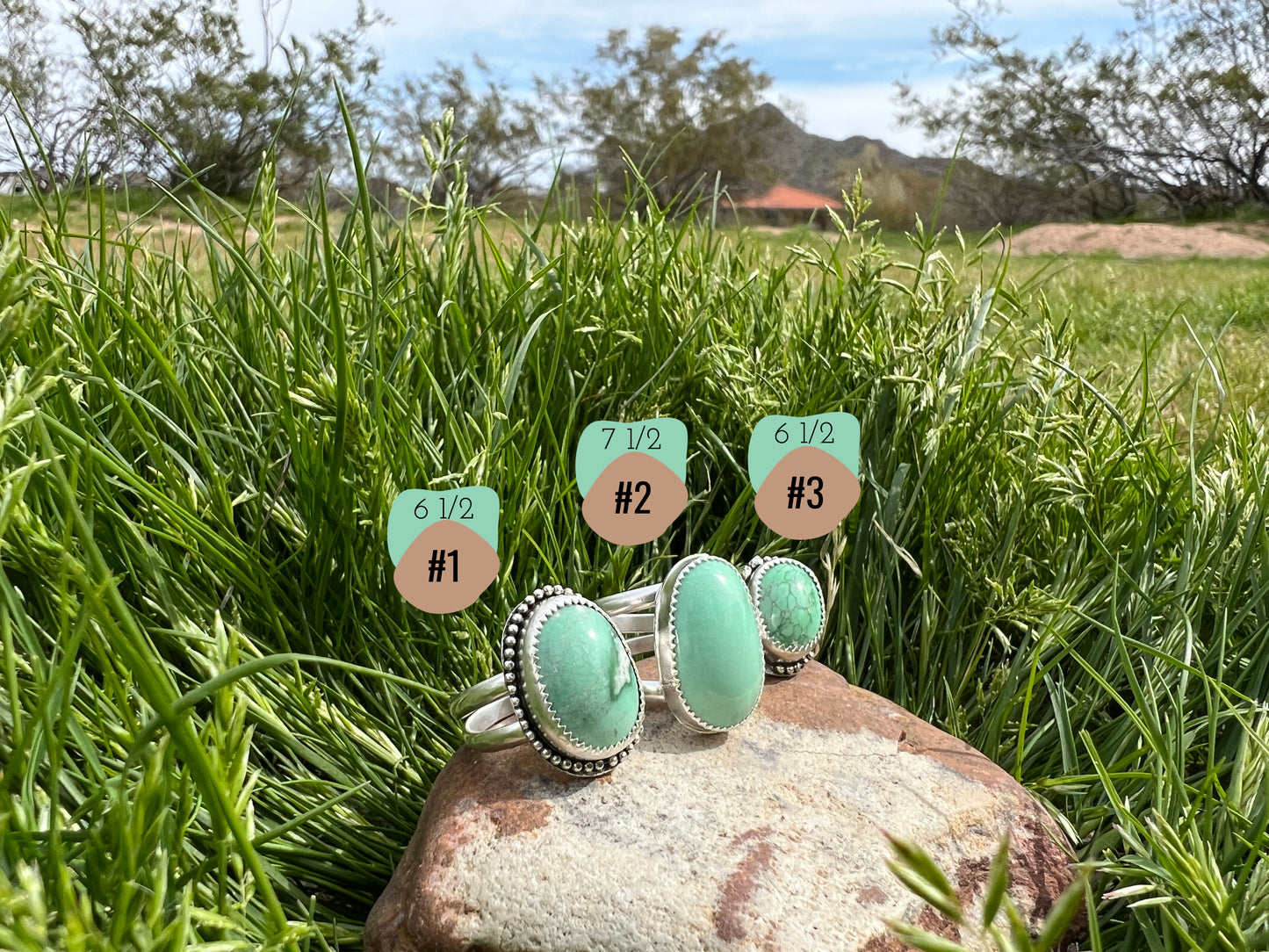 Stunning Lucin Variscite Rings in Sterling Silver